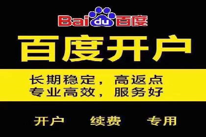 百度推广平台实战经验：案例解析，助力企业成长